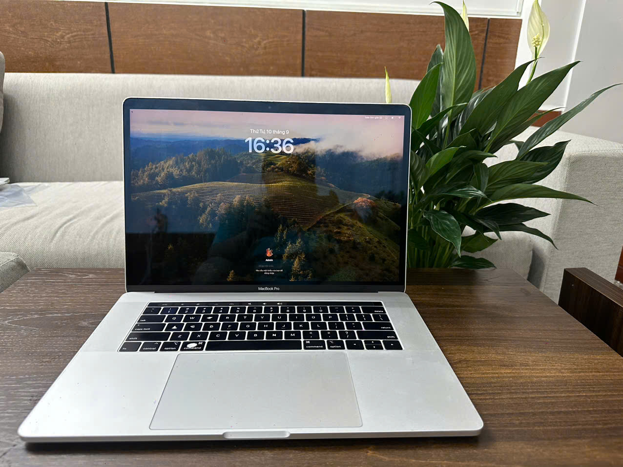 z6997689750634_84be03b3f9c499de62f268894d5bfe29